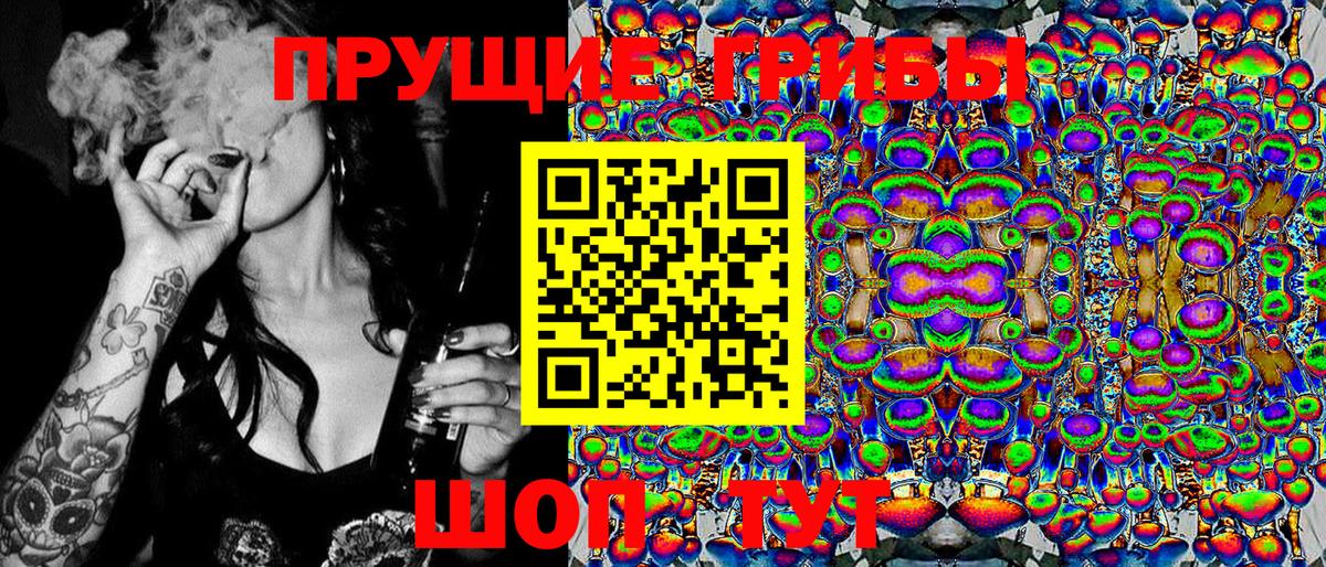 Псилоцибиновые грибы ЛСД Чернушка